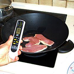 Usage du lecteur de temprature pour aliments mesurant la temprature du rti.