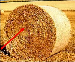 Vous pouvez voir ici le mesureur d'humidit� du fourrage ins�r� dans une  bale de paille. 