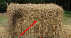 Vous pouvez voir ici le mesureur d'humidit� du fourrage ins�r� dans une  bale carr�e de paille.