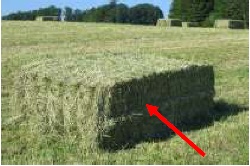 Vous pouvez voir ici le mesureur d'humidit� du fourrage ins�r� dans une  bale carr�e de paille.