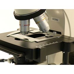 Vous pouvez observer la table réglable en croix inclue dans la livraison du microscope de laboratoire.