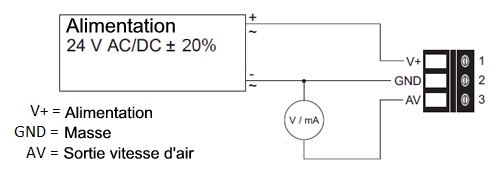 Connexions du transducteur de dbit EE 65