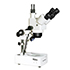 Microscopes avec port USB, 160 agrandissements