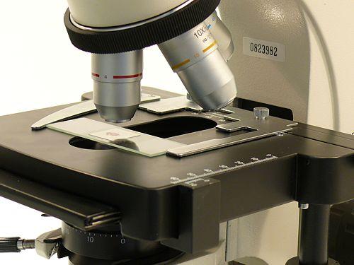 Microscope : définition et explications