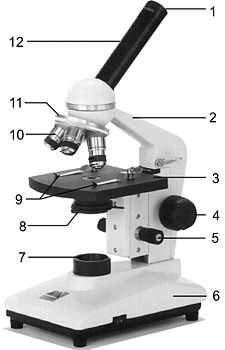 Parties des microscopes